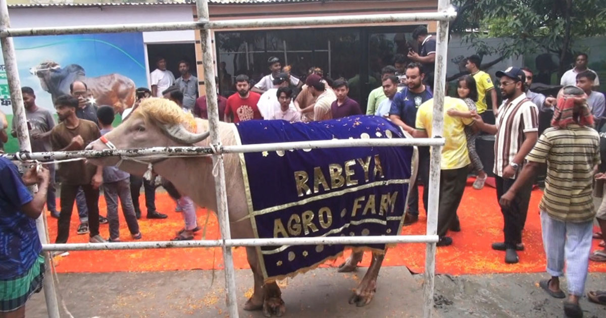৫৫০ টাকা কেজিতে বিক্রি হলো ‘ডোনাল্ড ট্রাম্প’