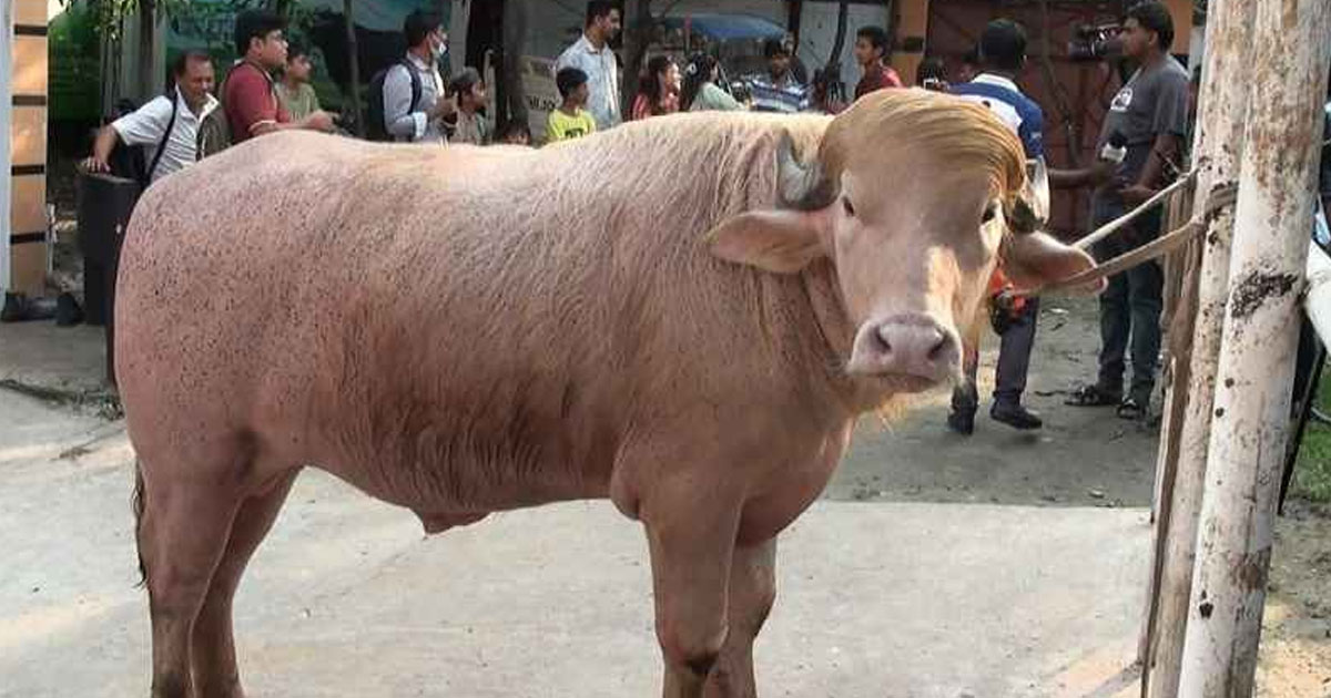 ‘ডোনাল্ড ট্রাম্প’ এখন চিড়িয়াখানায়