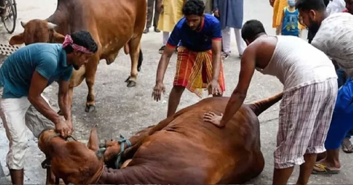 ঢাকায় ঈদের দ্বিতীয় দিনেও চলছে পশু কোরবানি
