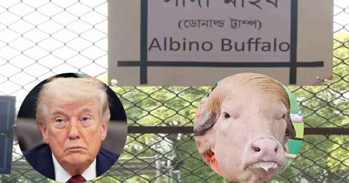‘ডোনাল্ড ট্রাম্প’র নামে ভুল, বিতর্কে চিড়িয়াখানা কর্তৃপক্ষ