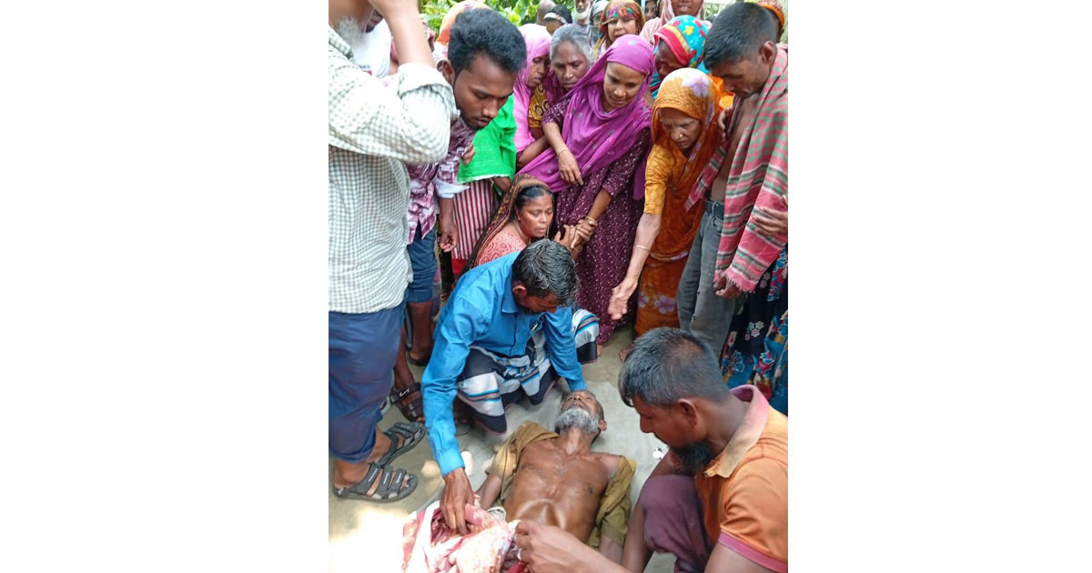 কাঁঠাল পাড়তে গিয়ে বিদ্যুৎস্পৃষ্টে ব্যবসায়ীর মৃত্যু