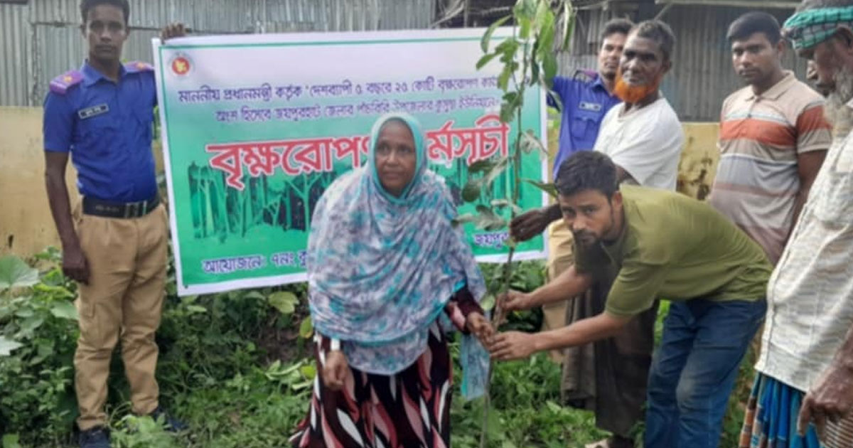 সবুজায়নের লক্ষ্যে পাঁচবিবিতে বৃক্ষরোপণ কর্মসূচি