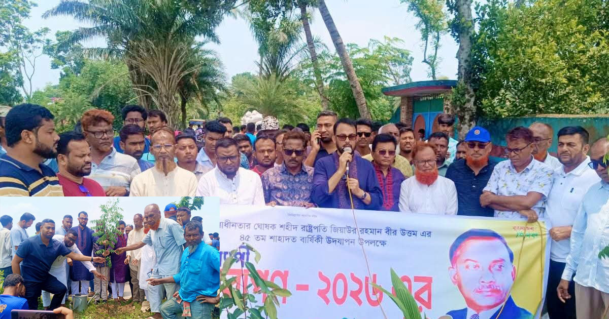 শহীদ জিয়ার স্মরণে বিএনপির মাসব্যাপী বৃক্ষরোপণ
