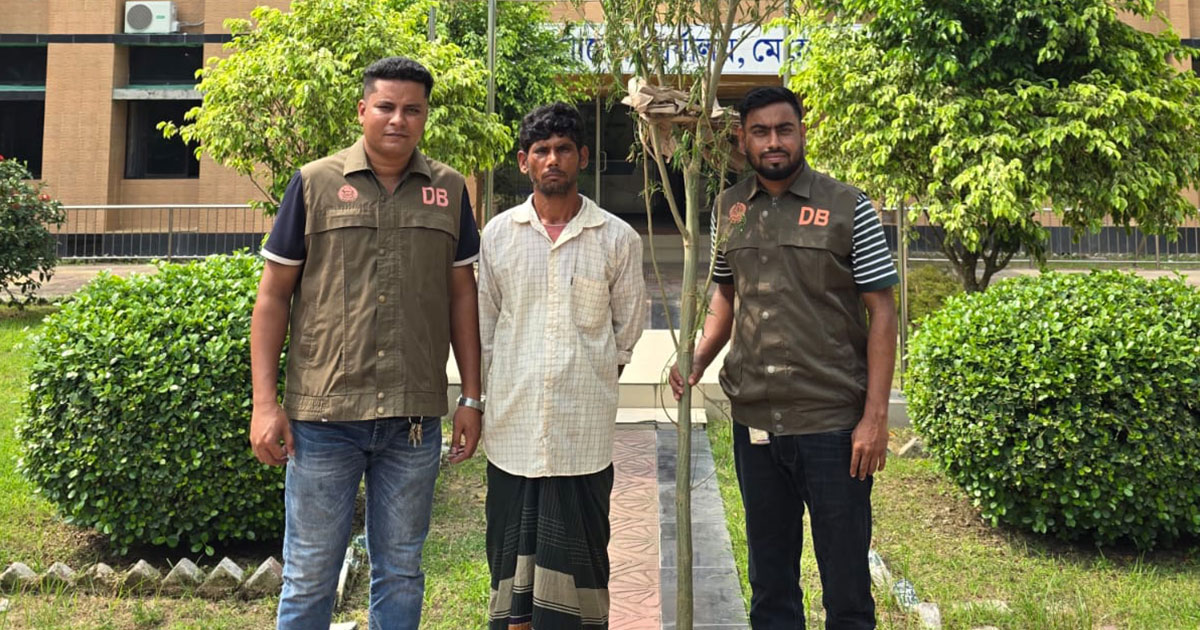 মেহেরপুরের ধলা মাঠে গাঁজা গাছসহ গ্রেপ্তার ১