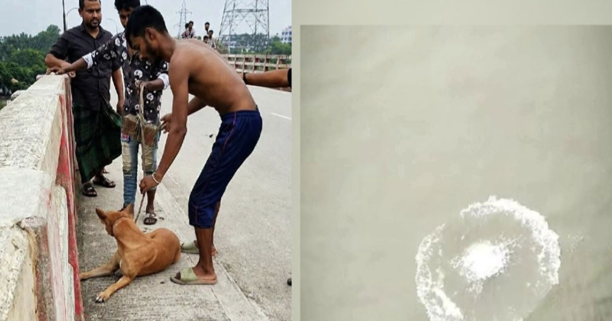 কুকুরের সঙ্গে নিষ্ঠুর আচরণ, নরসিংদীতে যুবক আটক
