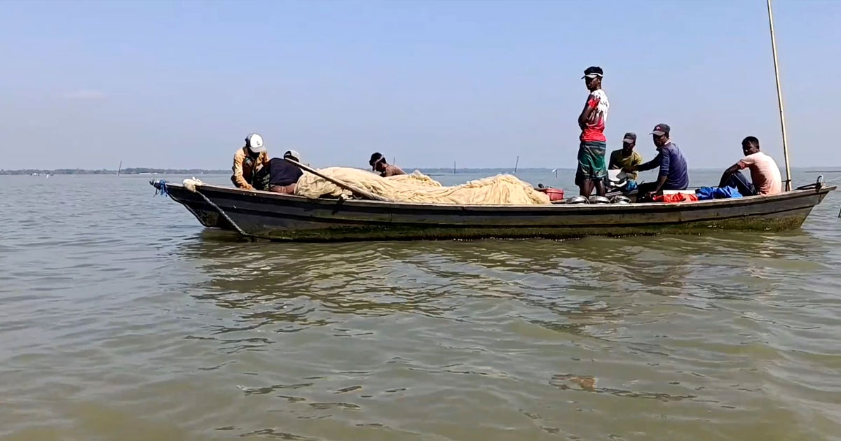 হাওরে মাছ ধরা শুরু, নিষেধাজ্ঞার মূল উদ্দেশ্য ব্যাহত হওয়ার অভিযোগ জেলেদের
