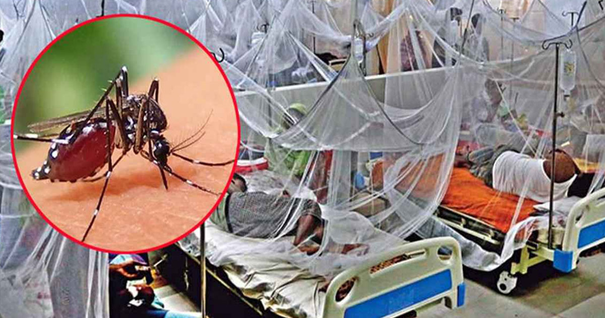 ডেঙ্গুতে ৫ জনের মৃত্যু