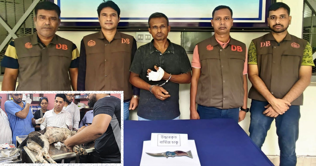বগুড়ায় কুকুরকে কুপিয়ে হত্যাচেষ্টা, চাকুসহ ঘাতক গ্রেপ্তার