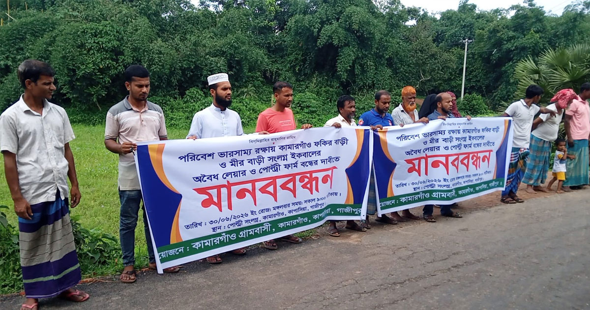 কাপাসিয়ায় মুরগির খামারের দূষিত বর্জ্যে ফসল নষ্টের অভিযোগ