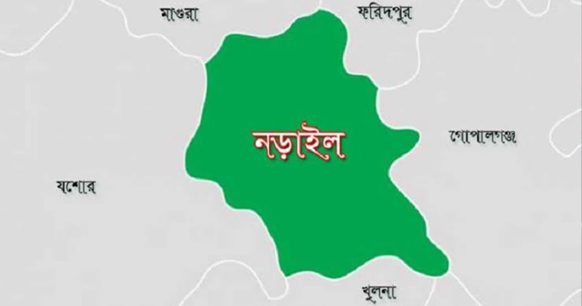 গাছ থেকে পড়ে বৃদ্ধের মৃত্যু
