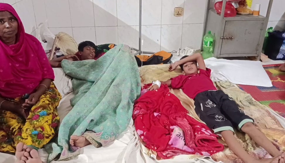 মেহেরপুরে জিয়ালা গাছের ফল খেয়ে ১৪ শিশু অসুস্থ