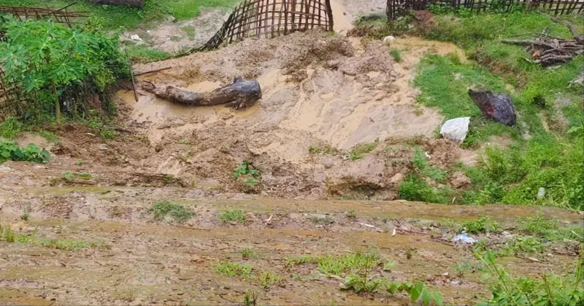 রাঙ্গামাটির বাঘাইছড়িতে পাহাড়ধসে বৃদ্ধের মৃত্যু