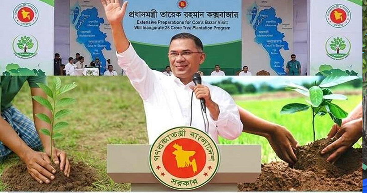 পাঁচ বছরে ২৫ কোটি গাছের চারা রোপণ করা হবে : প্রধানমন্ত্রী