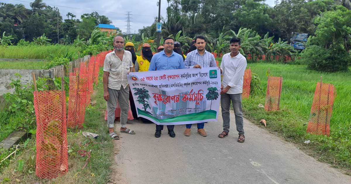 দাগনভূঞা এলজিইডির বৃক্ষরোপণ কর্মসূচি