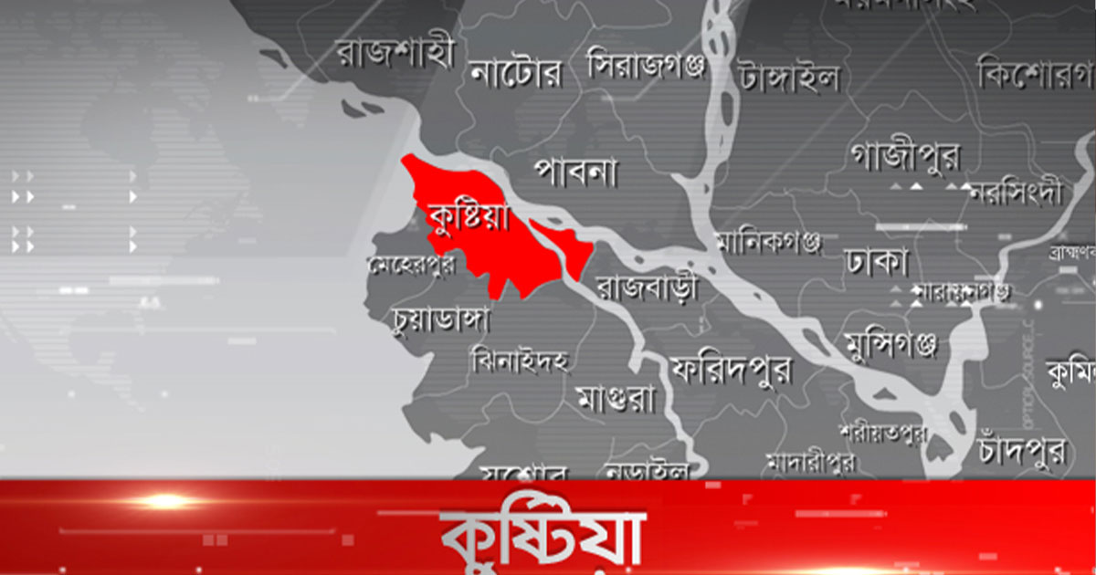 খোকসায় আধিপত্য নিয়ে ২ জনকে কু‌পিয়ে হত্যা
