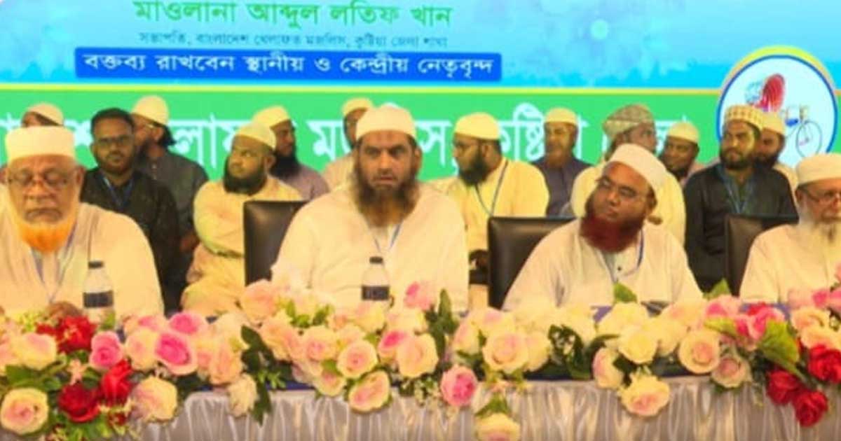 ‘গণভোটের রায় বাস্তবায়ন না হলে জনতা বিএনপিকে লাল কার্ড দেখিয়ে দেশ ছাড়া করবে’