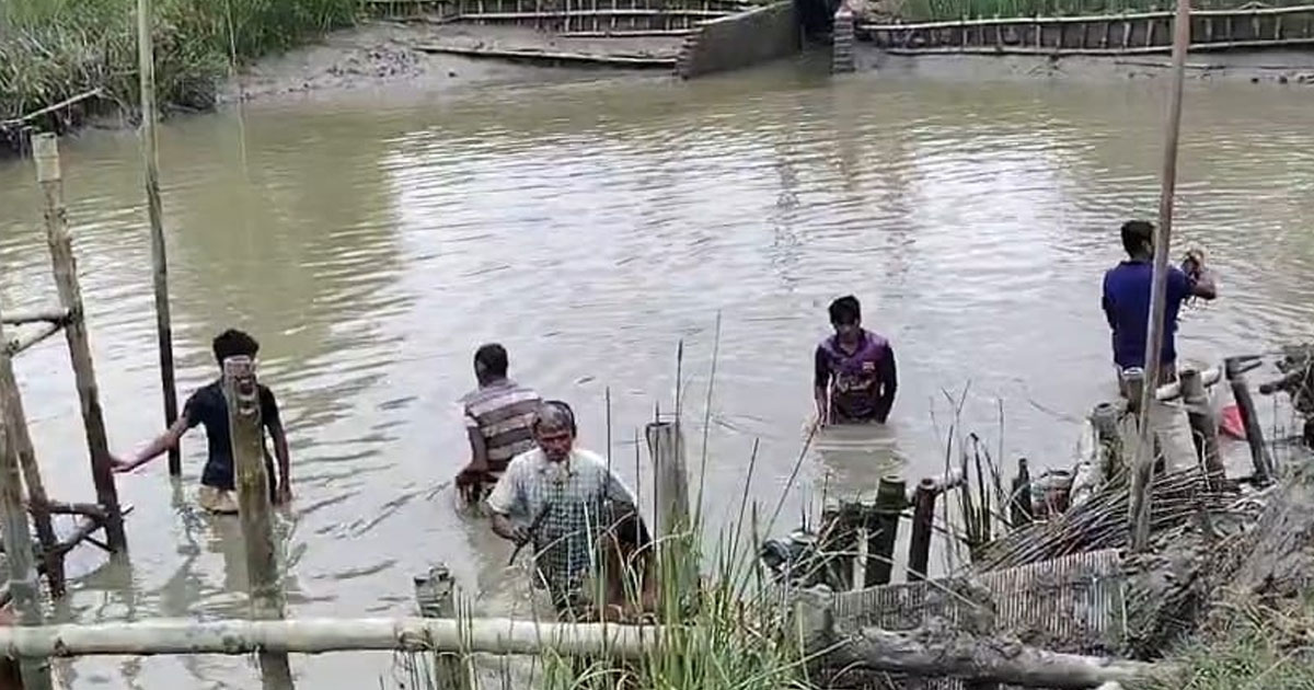 সময়ের আগেই দখলমুক্ত হলো দেলভাষানি সরকারি খাল