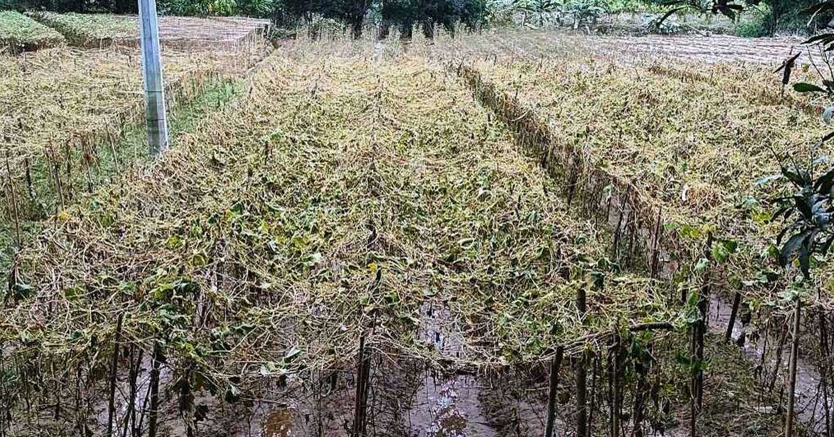 একরাতে দখল হয়ে গেলো ৬১ বছরের ঈদগাহ মাঠ