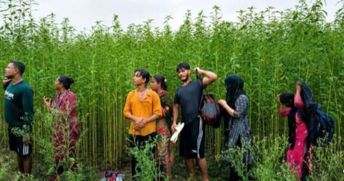 কুষ্টিয়া সীমান্তে ৮ জনকে পুশ-ইনের চেষ্টা ব্যর্থ করল বিজিবি