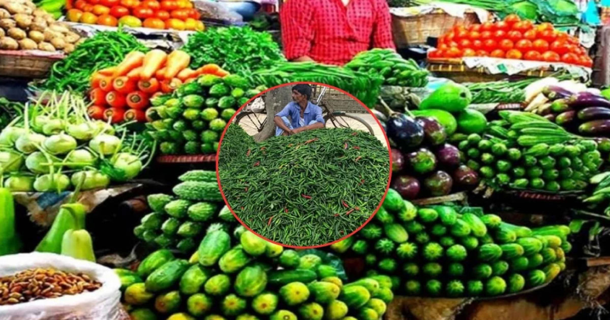 সবজির দামে সেঞ্চুরি, কাঁচা মরিচের ঝাঁজ তারও তিনগুণ