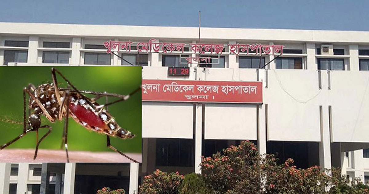 খুলনায় ডেঙ্গুতে আরও একজনের মৃত্যু, হাসপাতালে নতুন রোগী ৪৮
