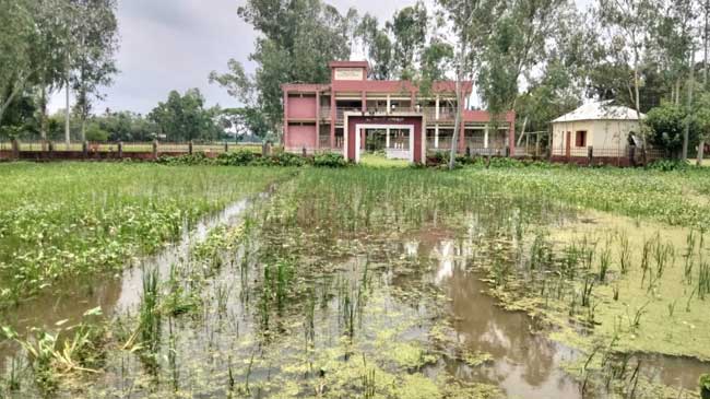 বিদ্যালয়ের যাতায়াতের রাস্তা নেই,  দুর্ভোগে শিক্ষক-শিক্ষার্থী