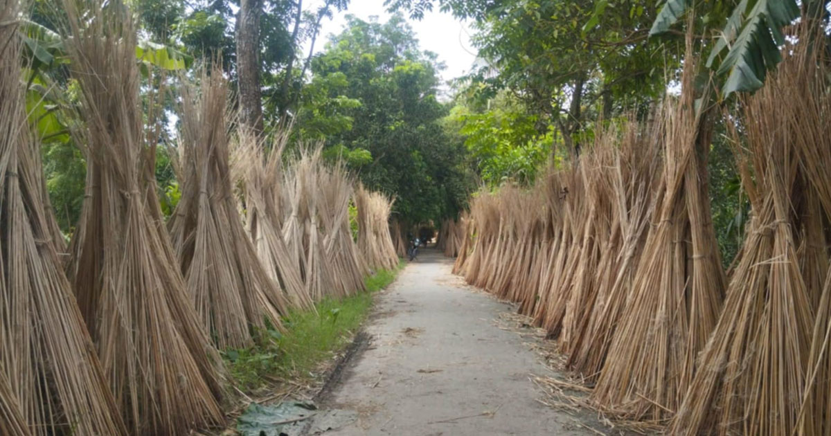 পাটকাটির গ্রাম মাগুরার আসবা
