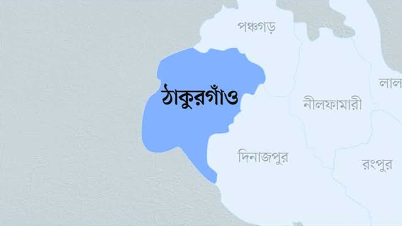 ইজিবাইক চুরি করে পালাতে গিয়ে দুজন আটক