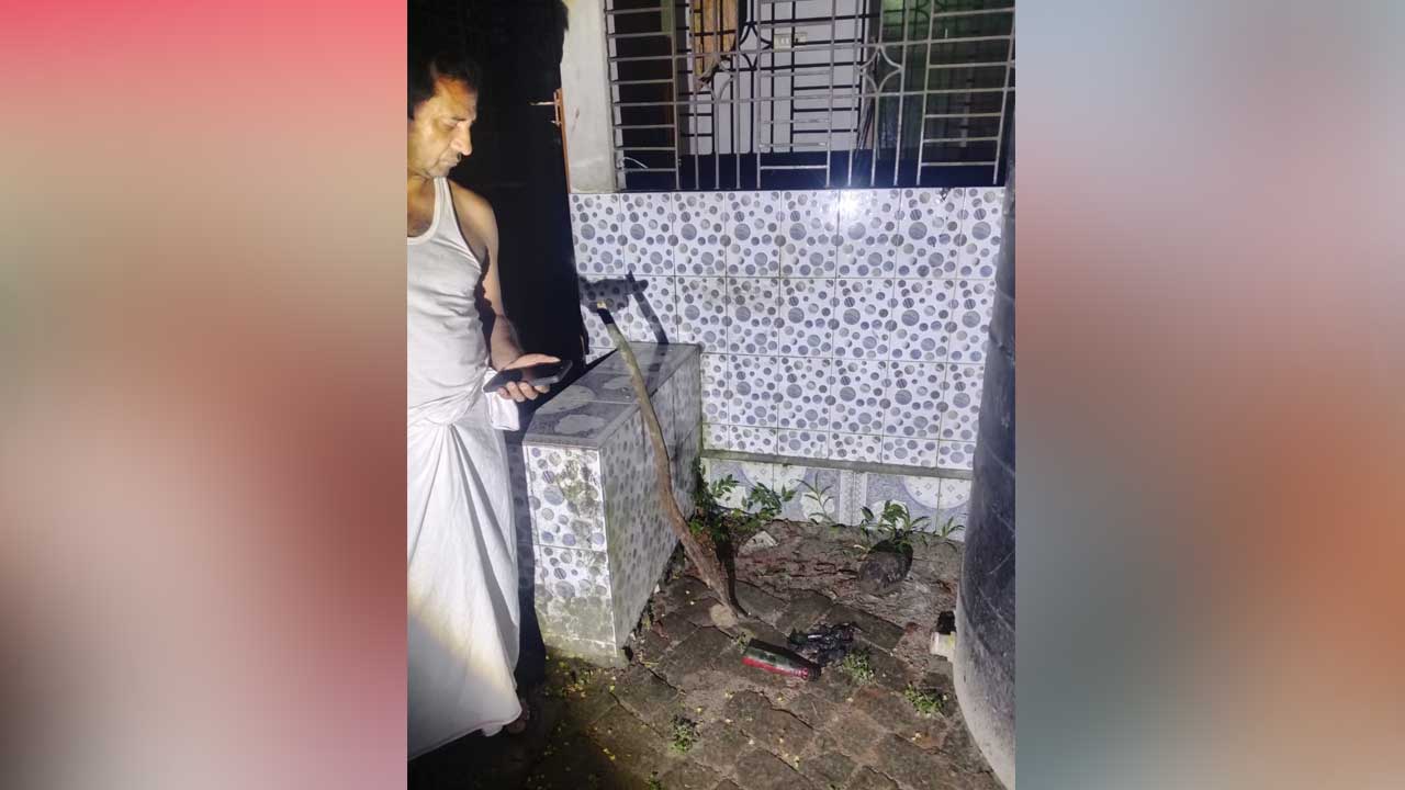 যুবদলের আহ্বায়কের বাড়িতে পেট্রোল বোমা হামলা