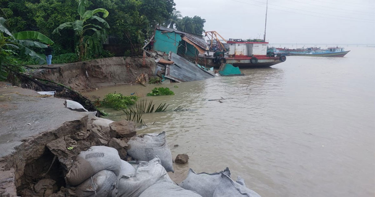 শরীয়তপুরের জাজিরায় পদ্মার নতুন ভাঙন: নদীপাড়ের মানুষের আতঙ্ক বাড়ছে
