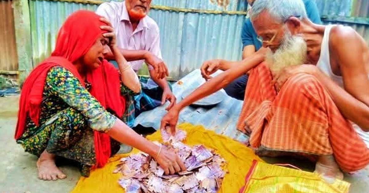 গাইবান্ধায় কৃষকের কষ্টে জমানো লাখ টাকা উইপোকার পেটে