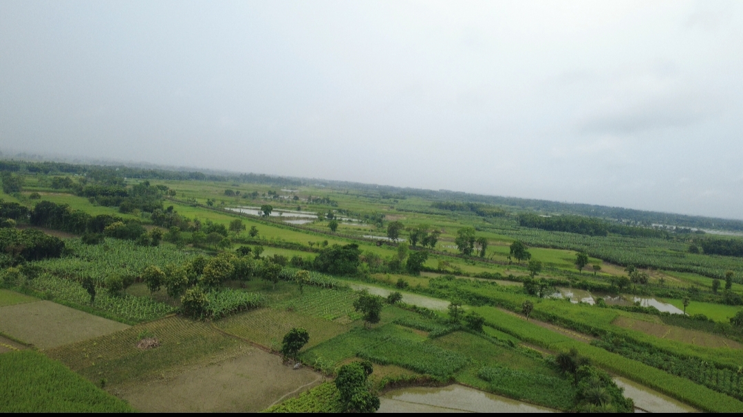 ইছাখালী সীমান্তে বাংলাদেশি বৃদ্ধকে ধরে নিল বিএসএফ, জবাবে দুই ভারতীয় আটক