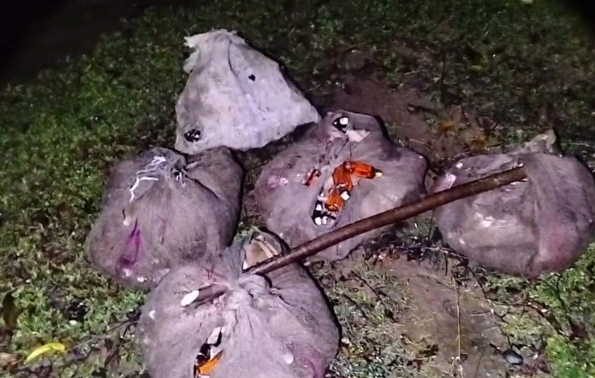 সিলেট সীমান্তে বিজিবির অভিযান: আড়াই কোটি টাকার ভারতীয় পণ্য জব্দ