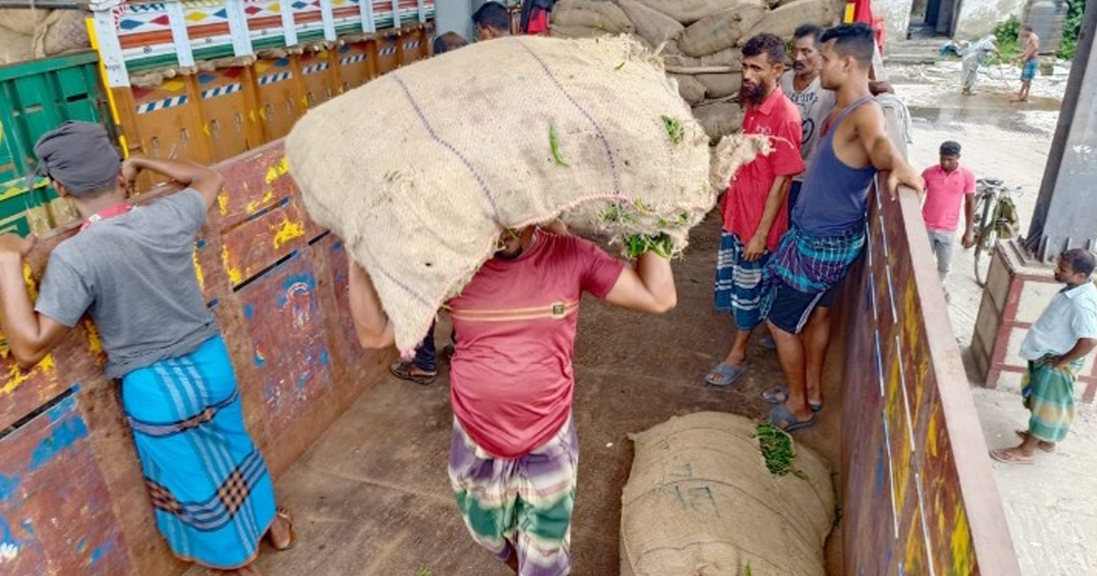 ৩০০ টাকার কাচাঁ মরিচ ১০০ টাকায় বিক্রি, ১০ দিনে ২৩৩ টন আমদানি