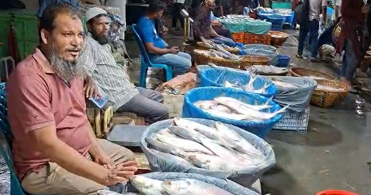 অনলাইনে ইলিশ কিনতে ক্রেতাদের সতর্ক করল চাঁদপুরের অংশীজনরা