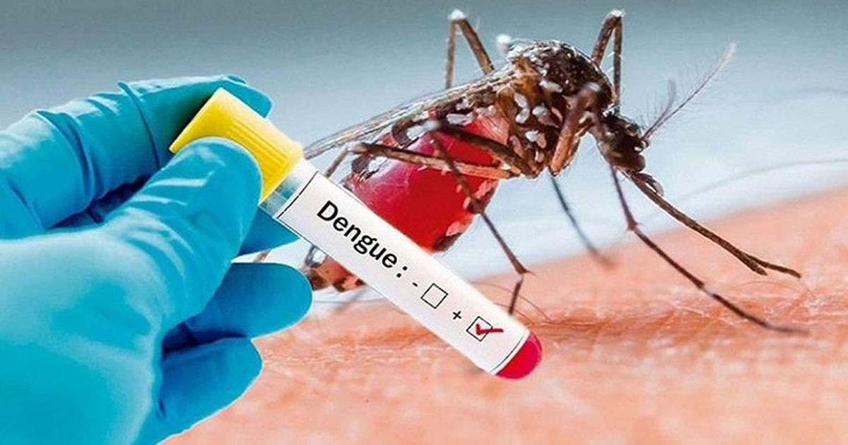 ডেঙ্গুতে আরও ২ মৃত্যু, আক্রান্ত ৬৭১