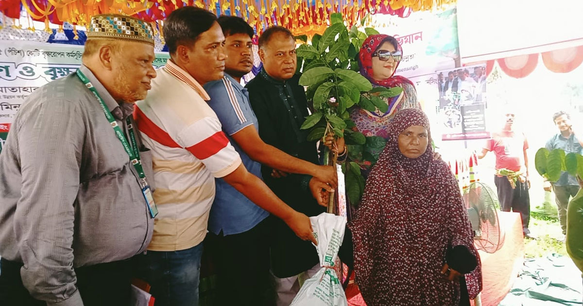 পরিবেশের ভারসাম্য রক্ষায় ৫০ হাজার চারা বিতরণ