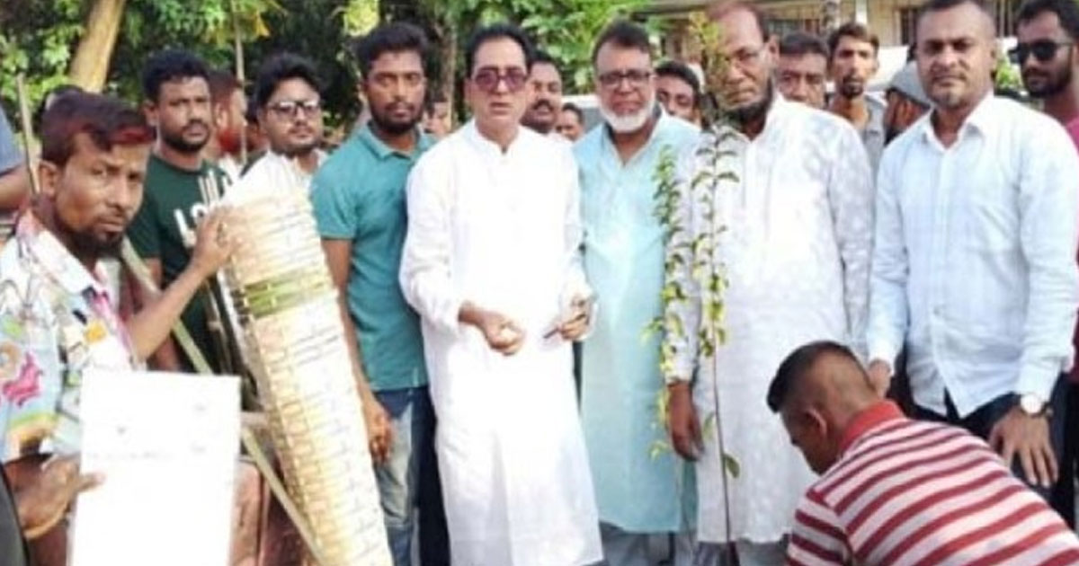 বেনাপোলে পৌর বিএনপির বৃক্ষরোপণ কর্মসূচি