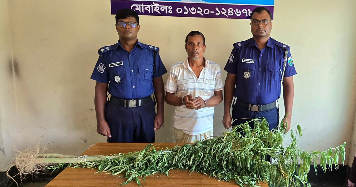 নাটোরের লালপুরে ইয়াবা, হেরোইন ও গাঁজাসহ আটক ৪