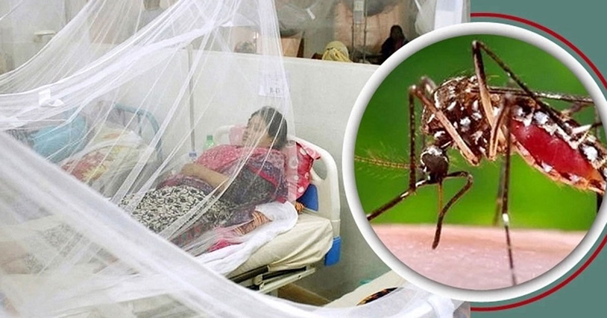 ডেঙ্গুতে ৪ জনের মৃত্যু, শনাক্তে রেকর্ড