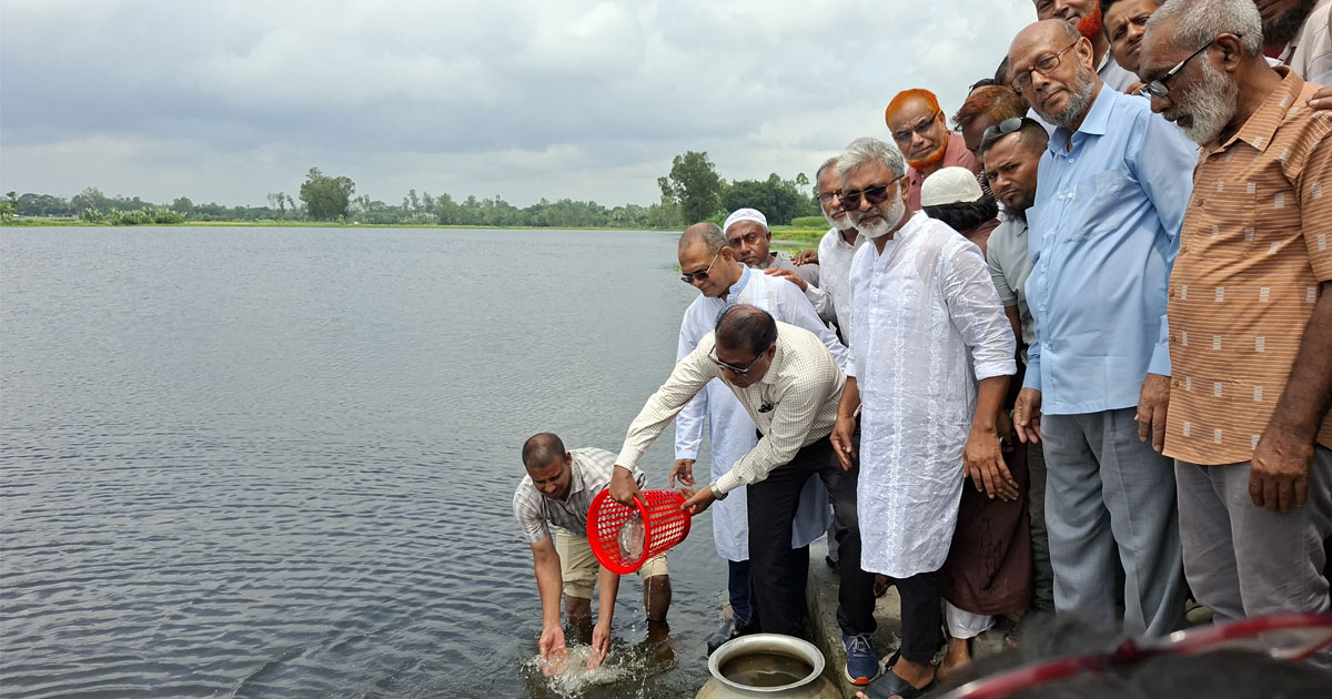 বিএনপির প্রতিষ্ঠাবার্ষিকীতে বগুড়ায় জলাশয়ে পোনা মাছ অবমুক্ত