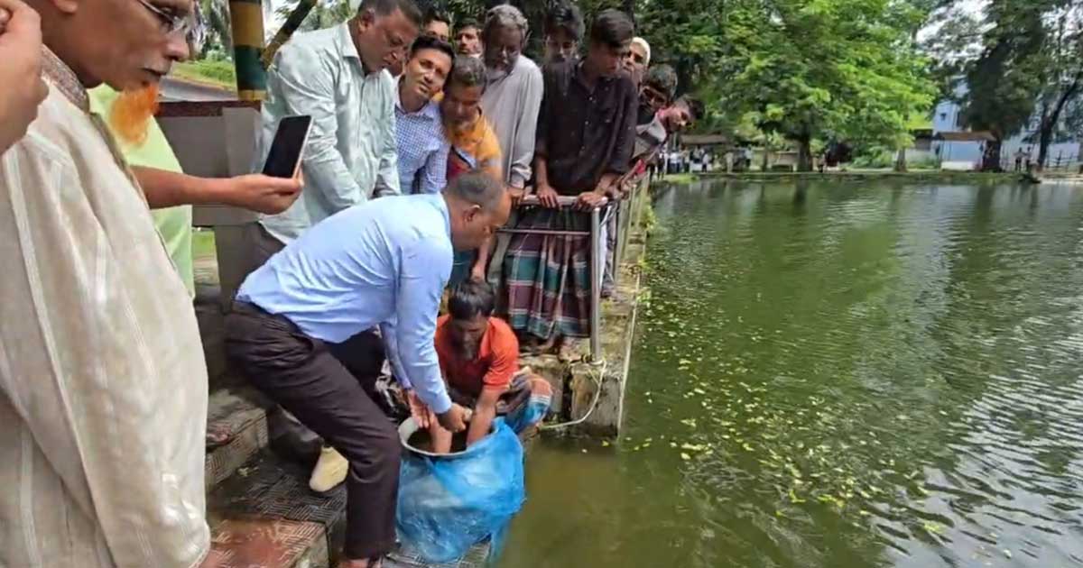 বিএনপির প্রতিষ্ঠাবার্ষিকী উপলক্ষে বাউফলে বৃক্ষরোপণ
