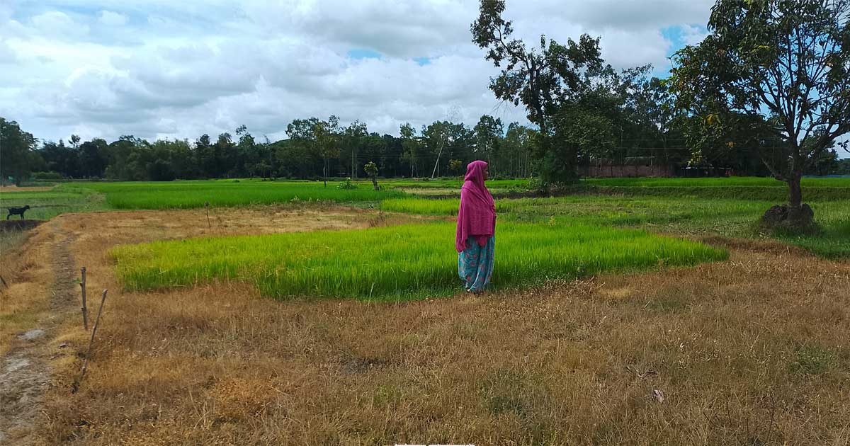জমি নিয়ে বিরোধ, বিধবা পরিবারকে মামলায় হয়রানি ও প্রাণনাশের হুমকি