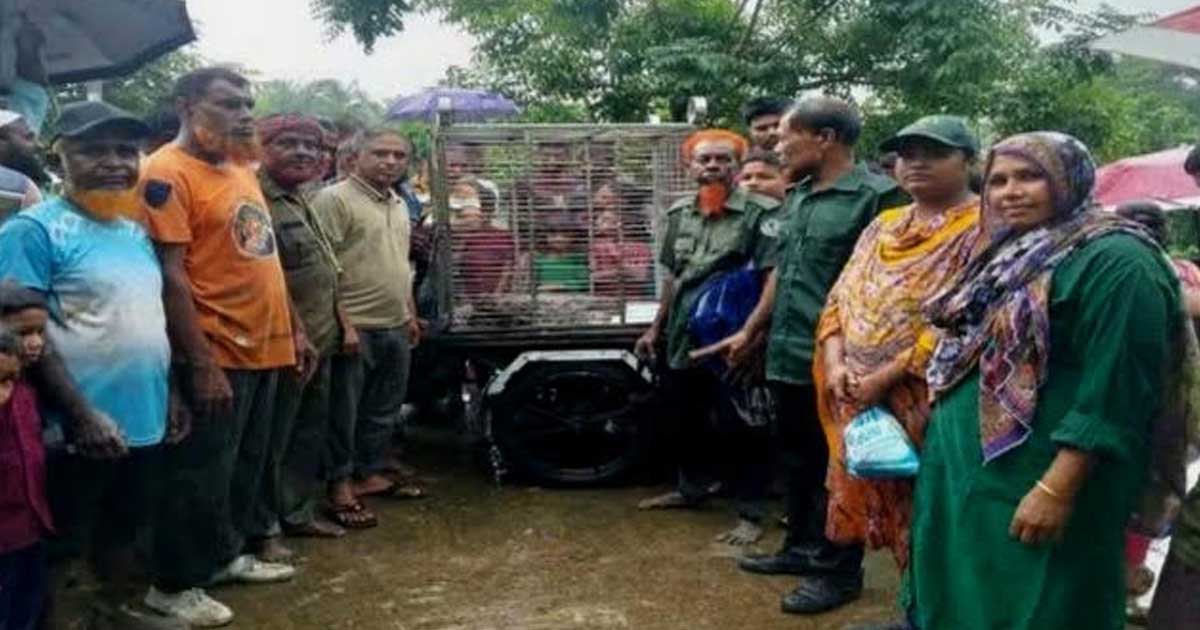 শ্যামনগরে হাঁস-মুরগীর ঘর থেকে ১৮ ফুট অজগর সাপ উদ্ধার