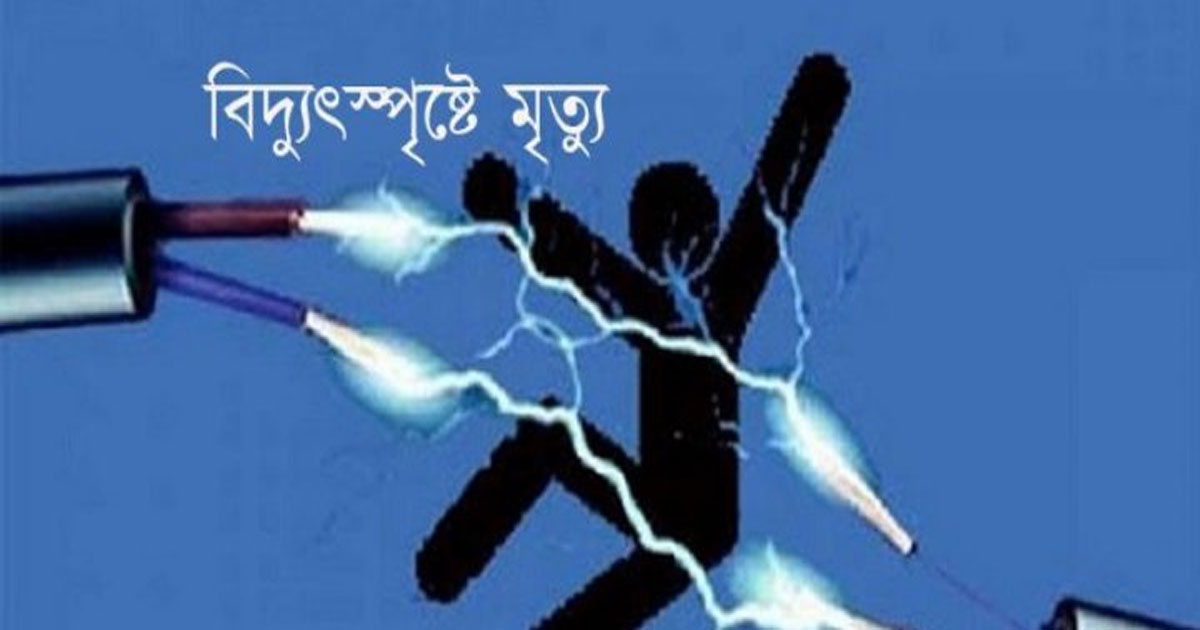 অভয়নগরে নারকেল গাছের পাতা কাটতে গিয়ে বিদ্যুৎস্পৃষ্ট, প্রাণ গেল যুবকের
