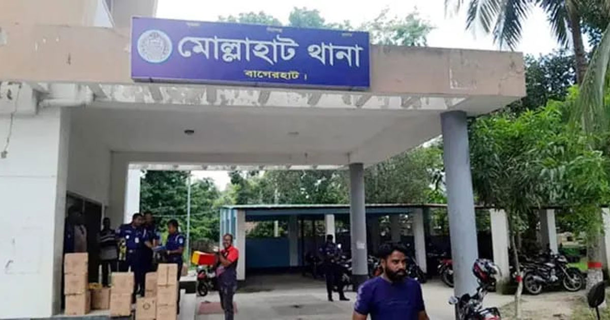 মোল্লাহাটে শাপলা তুলতে গিয়ে পানিতে ডুবে দুই চাচাতো বোনের মৃত্যু