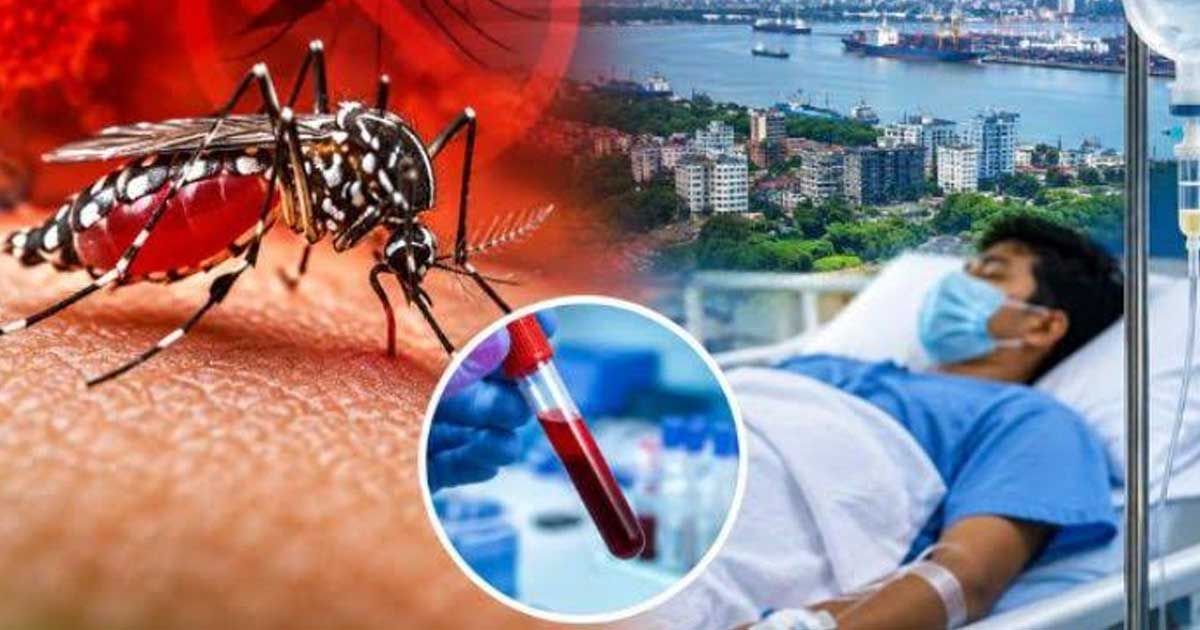 চট্টগ্রামে ডেঙ্গুতে আক্রান্ত হয়ে আরও দুজনের মৃত্যু