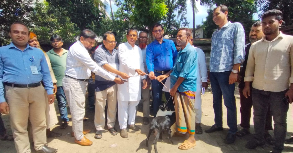 প্রাণিসম্পদ উন্নয়নে ঝিনাইদহে খামারিদের মাঝে পাঠা বিতরণ