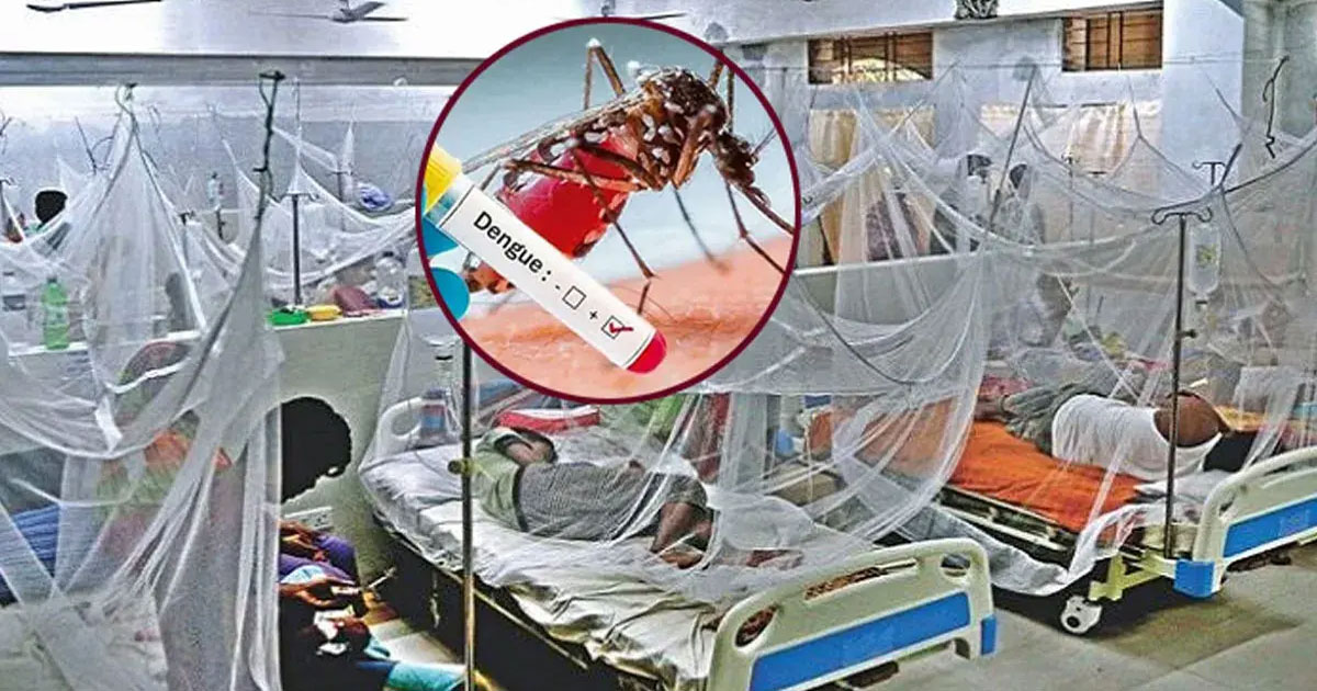 ডেঙ্গুতে একদিনে ৯ জনের মৃত্যু