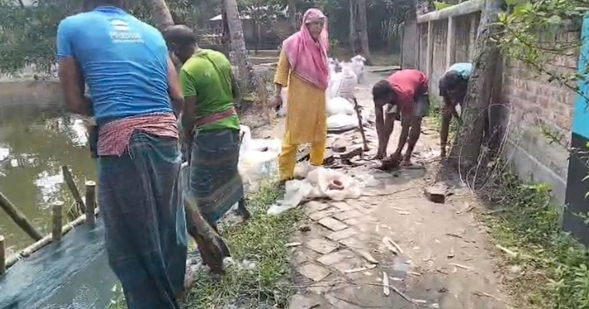অভয়নগরের কোটাগ্রামে সোনিয়া বেগমের নেতৃত্বে সড়ক সংস্কার সম্পন্ন